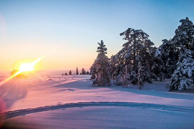 Snowmobile Safari in the Nature - The insurance and damage question