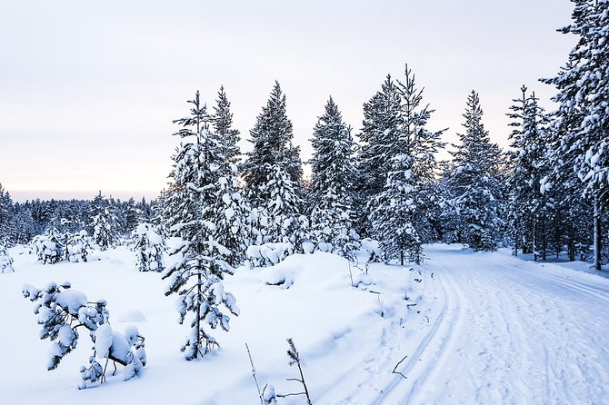 Snowmobile Safari in the Nature - Morning start - Forests, frozen rivers, and open swamps