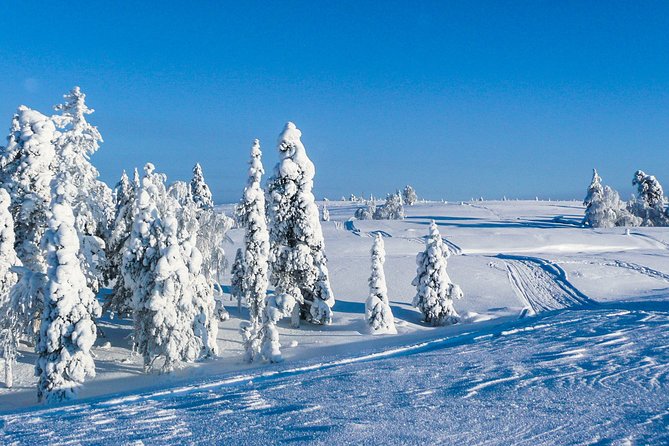 Snowmobile Safari in the Nature - Morning start - Who will enjoy this safari most?