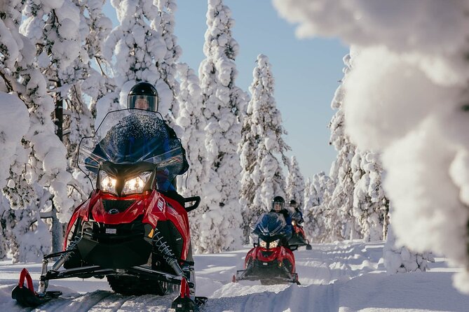 Snowmobile Safari into the Arctic Circle Forest - Riding into Rovaniemi’s Arctic forest