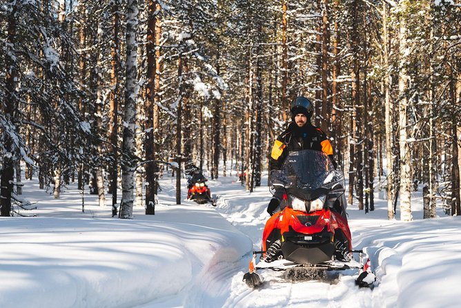 Snowmobile Safari into the Arctic Circle Forest - Sharing a snowmobile, or booking your own
