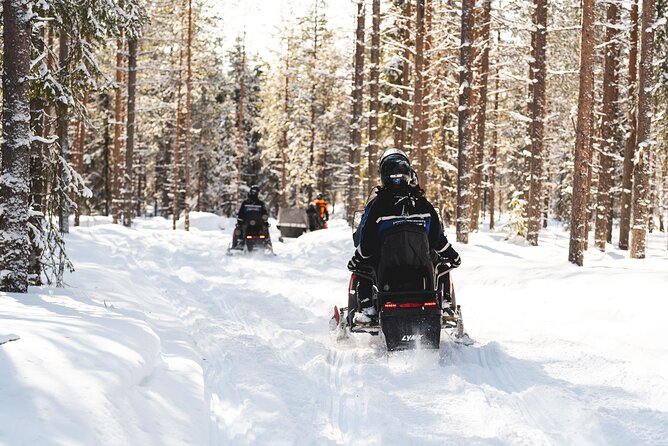 Snowmobile Safari into the Arctic Circle Forest - How the guides shape the outing