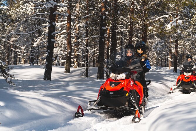 Snowmobile Safari into the Arctic Circle Forest - Two hours on the trail