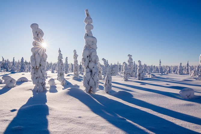 Snowmobile Safari on the Tundra - Booking Timing and Cancellation Risk