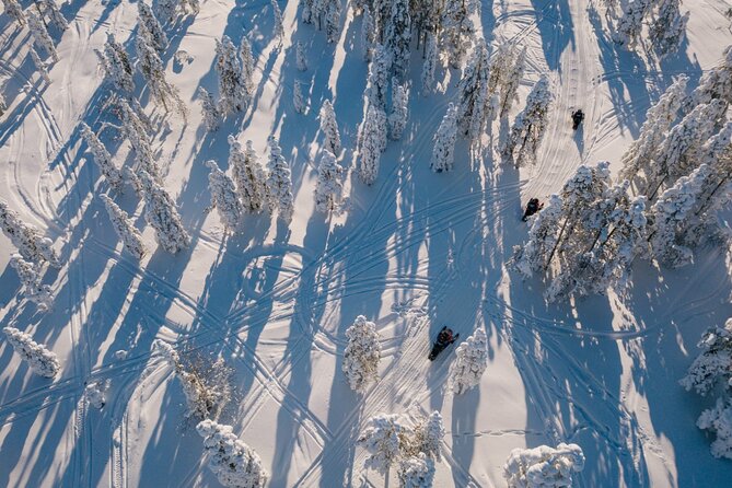 Snowmobile Safari through Lappish Forest from Rovaniemi - One hour through snowy forest and frozen open ground