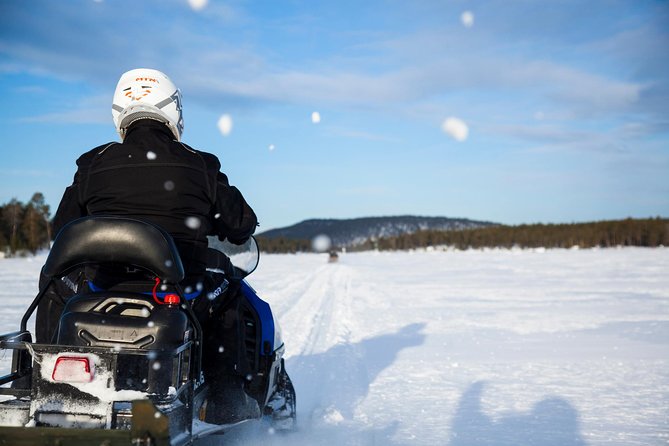 Snowmobile Safari to Lake Inari, meet & feed Reindeers, Lunch - Meeting reindeer on a small island