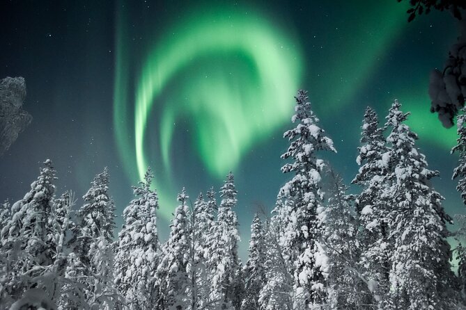 Snowmobile Safari to Search for the Northern Lights - Who should book this Rovaniemi safari?