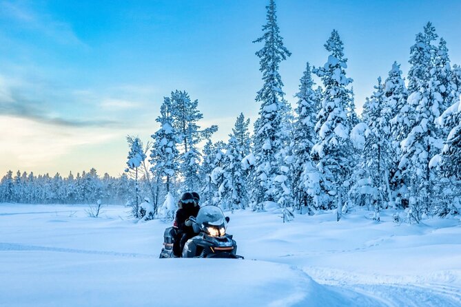 Snowmobile Tour with Small Group in Remote Wilderness 3 Hours - Key details before you book