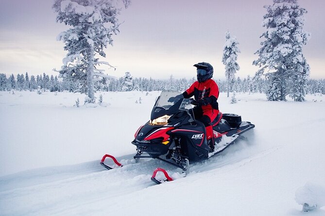 Snowmobile Tour with Small Group in Remote Wilderness 3 Hours - Why the small-group format matters in Lapland