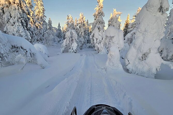 Snowmobile Tour with Small Group in Remote Wilderness 3 Hours - Photo stops, snacks, and a little breathing room