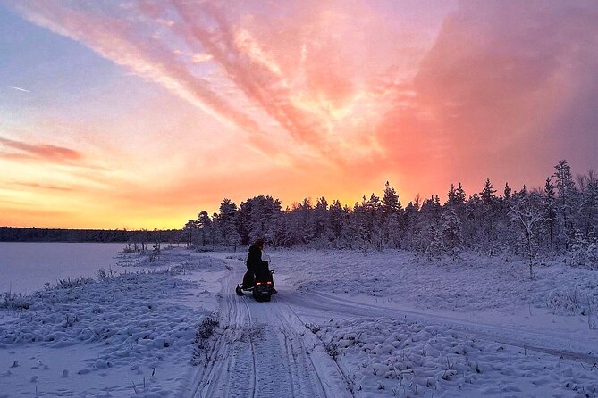 Snowmobile Tour with Small Group in Remote Wilderness 3 Hours - How the snowmobiles feel on the trail