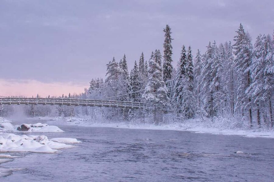 Snowshoe experience with traditional beverages in Lapland - Forest snow or an open frozen lake