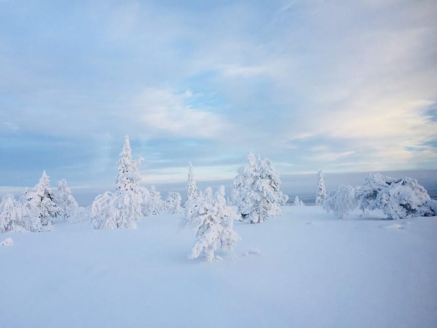 Snowshoe experience with traditional beverages in Lapland - The fire-side picnic and local drinks