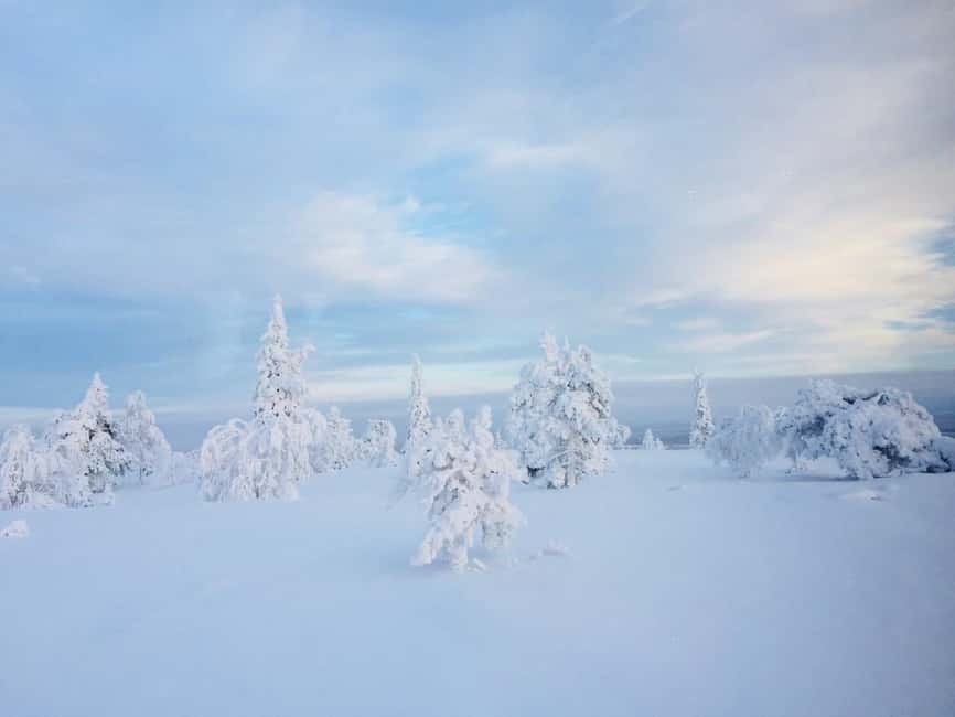 Snowshoe experience with traditional beverages in Lapland - Meeting Alex in central Rovaniemi