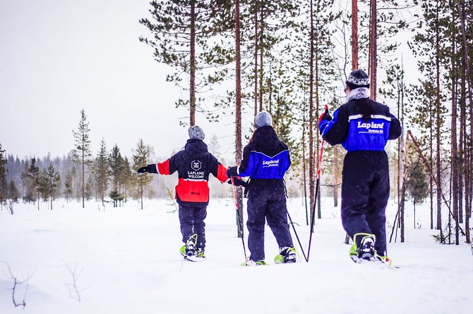 Snowshoe Trip in the Forest - Key points to know before booking
