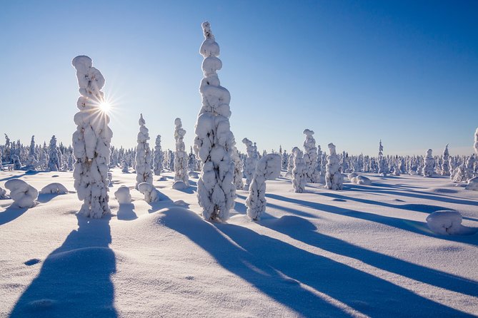 Snowshoe Trip in the Forest - Reliability concerns you should take seriously