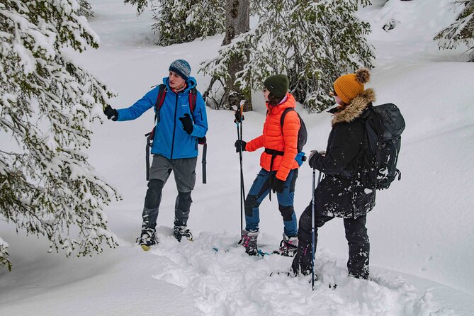Snowshoeing Adventure with Ice-Fishing, Fire and Survival - Building a fire and eating beside it