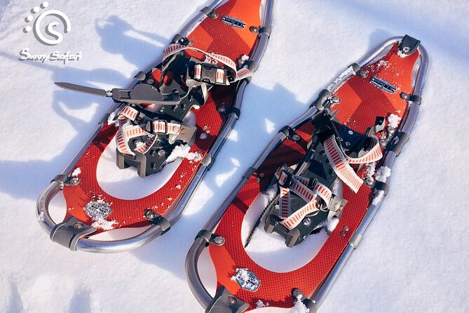 Snowshoeing in Lapland Wilderness - The campfire stop is the social heart of the outing