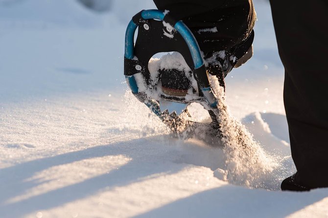 Snowshoeing in the Arctic Circle Wilderness - Leaving Rovaniemi for the Arctic Circle woods