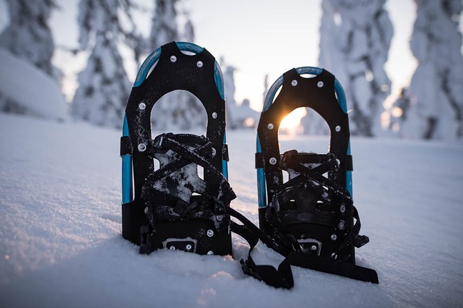 Snowshoeing in the Arctic Circle Wilderness - Walking beneath snow-covered trees