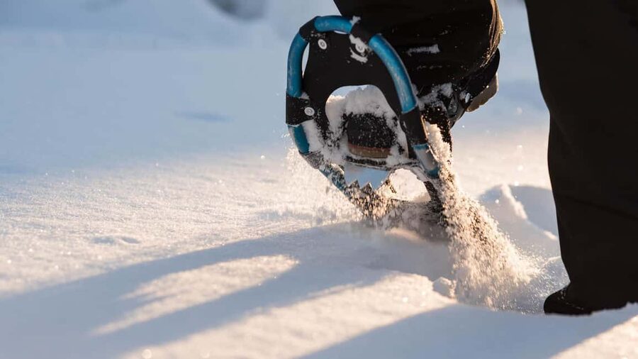 Snowshoeing in the Arctic Wilderness - Leaving Rovaniemi for the Arctic woods