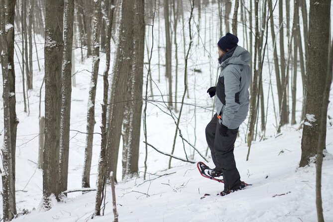 Snowshoeing tour with Wild Lunch - The teepee lunch is the heart of the experience