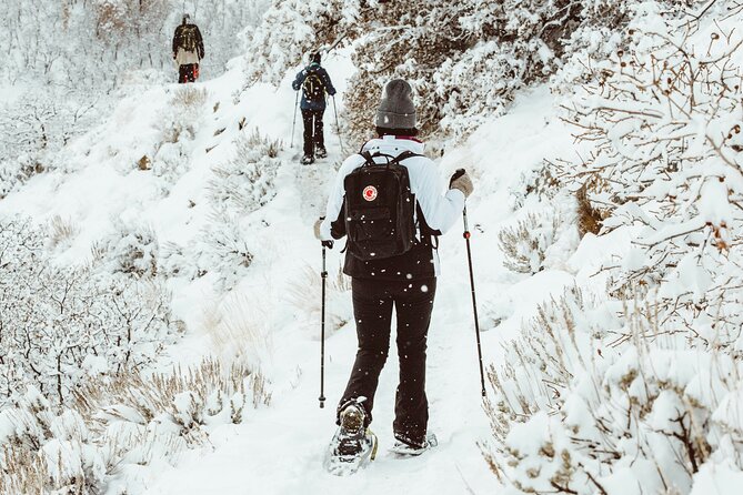 Snowshoeing tour with Wild Lunch - What the price includes at $95.53