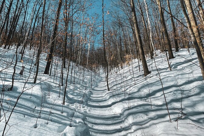 Snowshoeing tour with Wild Lunch - Clothing matters more than the equipment