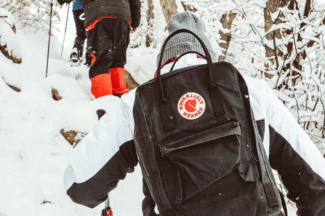 Snowshoeing tour with Wild Lunch - Who will enjoy this three-hour outing