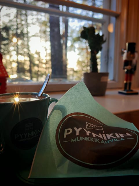 Tampere Panoramic Tour - Why Tampere grew here