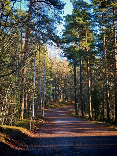 Tampere Panoramic Tour - What the private format adds