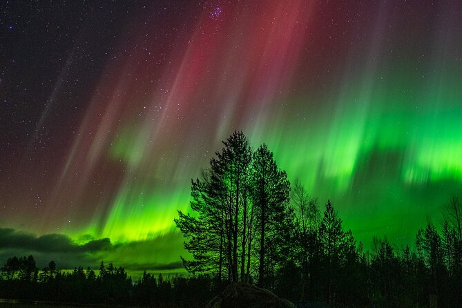 The Ultimate Guaranteed Aurora Hunt - Pickup, meeting point, and group size