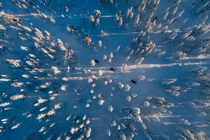 Thrill of Snowmobiling for Adults Only - The 2.5-hour ride through snowy Lapland