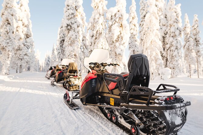 Thrill of Snowmobiling for Adults Only - Is $215.05 good value?