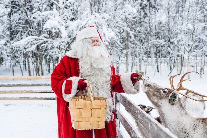 Trip to Arctic Circle, Santa Claus Village and Santas Reindeer - Key points before you book