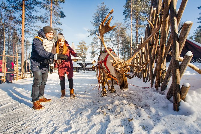 Trip to Arctic Circle, Santa Claus Village and Santas Reindeer - Lunch and the question of value