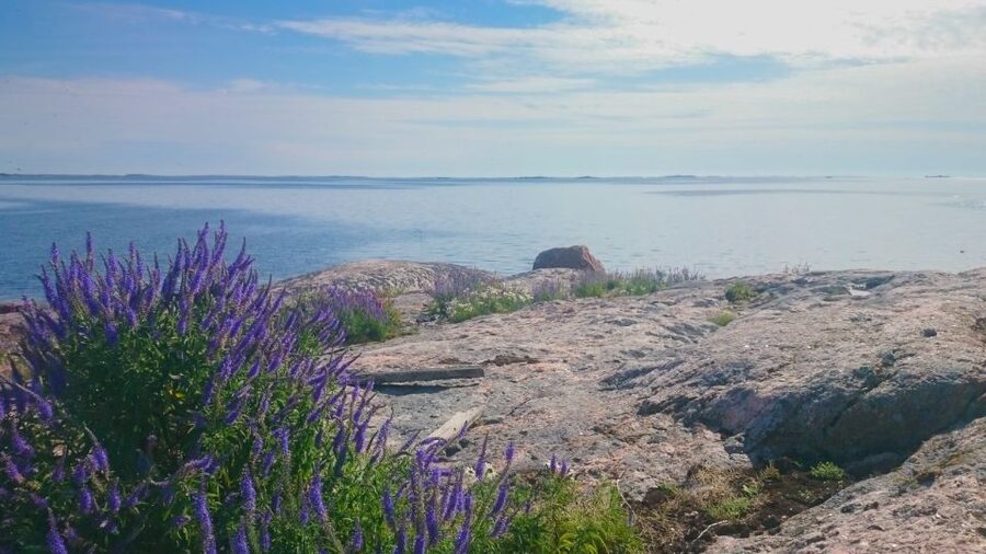 Turku Archipelago: Sea Kayaking Day Tour - Key points to know before booking