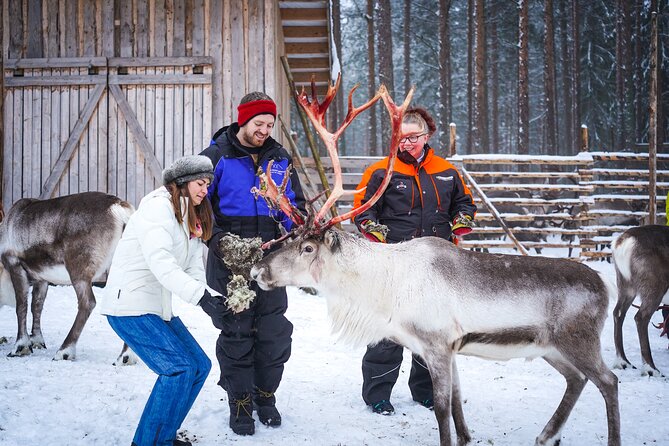 Two Full Days in Lapland - What the $902 price really covers
