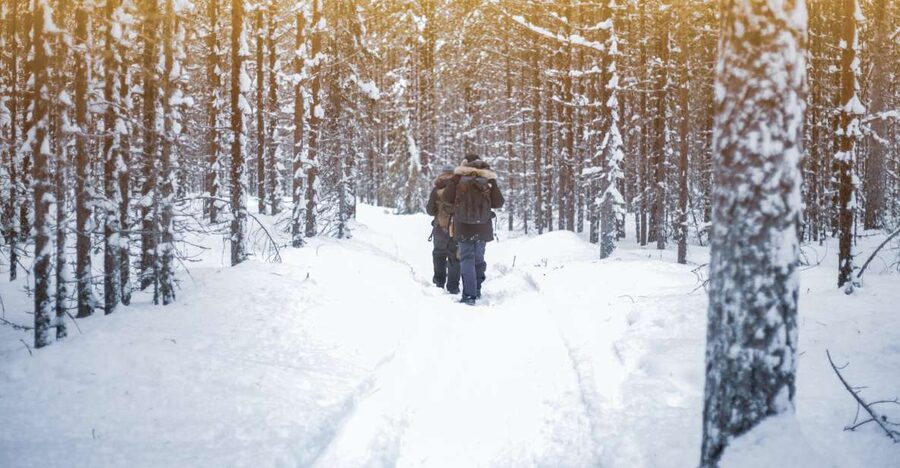 Vikakongas Hike: Nature and Silence - Why this short Arctic hike works