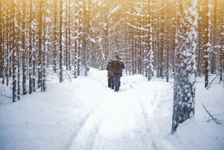 Vikakongas Hike: Nature and Silence - Leaving Rovaniemi by van