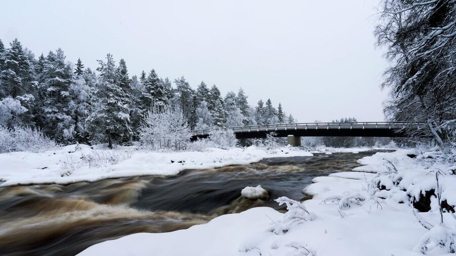 Vikakongas Hike: Nature and Silence - Following the 2-kilometer river path