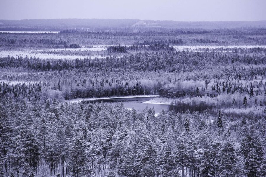 Vikakongas Hike: Nature and Silence - Crossing the Vikaköngäs Rapids