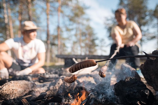 Wild Berries and Mushroom picking tour - Key points to know before you book
