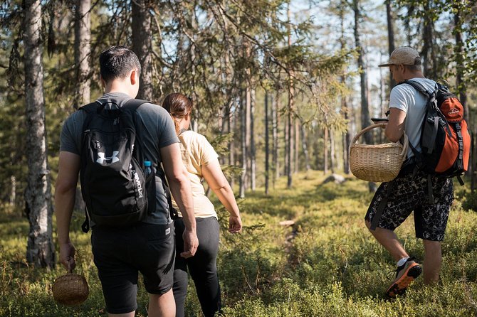 Wild Berries and Mushroom picking tour - Why this Rovaniemi forest outing feels different