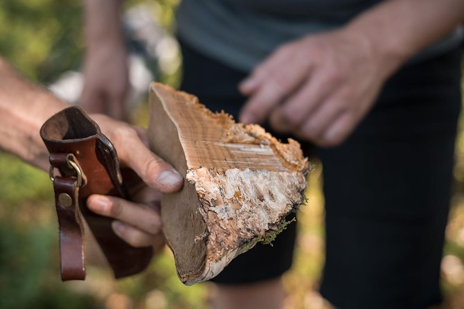 Wild Berries and Mushroom picking tour - The open-fire break with snacks and drinks