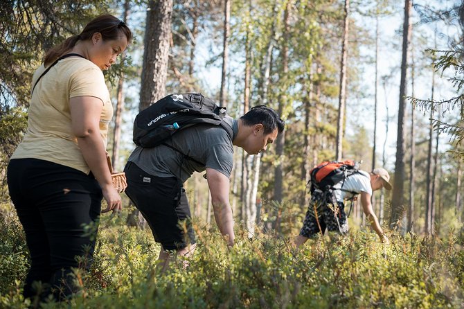 Wild Berries and Mushroom picking tour - Why the group of eight matters