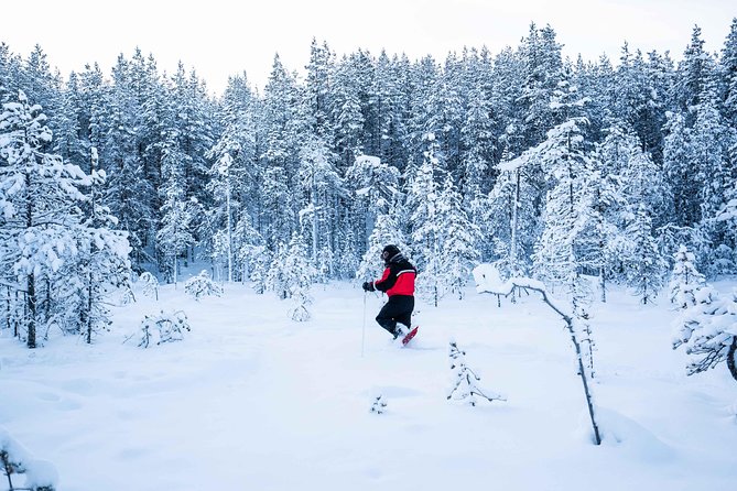 Wilderness snowshoe adventure - A wooden shelter, hot drinks, and Finnish sausages