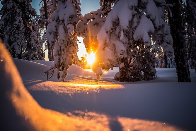 Wilderness snowshoe adventure - Who will enjoy this most