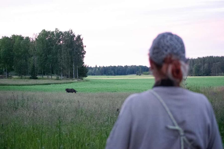 Wildlife safari with campfire dinner from Helsinki - What the binoculars add
