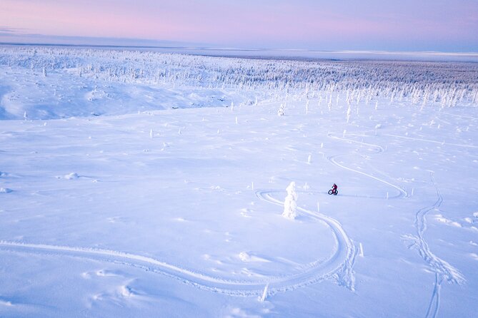 Winter afternoon group Ride in Saariselkä - Starting at Roll Outdoors Saariselkä at 3 pm